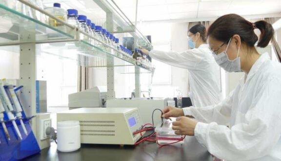 一個女企業(yè)家的現(xiàn)代農業(yè)之夢——訪領先生物農業(yè)股份有限公司董事長徐志文 一個女企業(yè)家的現(xiàn)代農業(yè)之夢——訪領先生物農業(yè)股份有限公司董事長徐志文